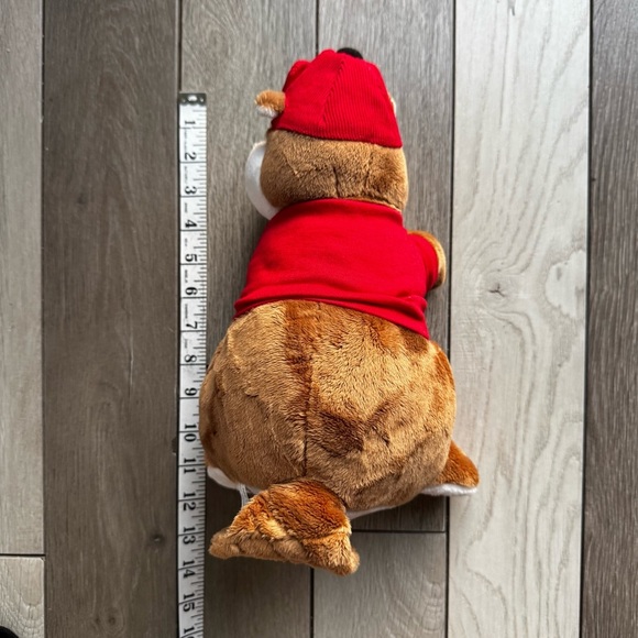 Buc-Ee’s 3 pieces Bundle | Excellent Condition Measurements - Picture 6 of 12